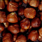 avellana grano