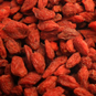 bayas goji