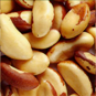 coquito grano