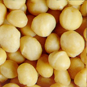 macadamia